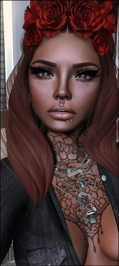 lotd 654_featured image