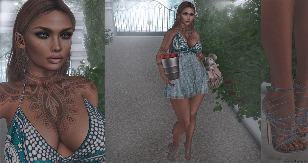 lotd 854_